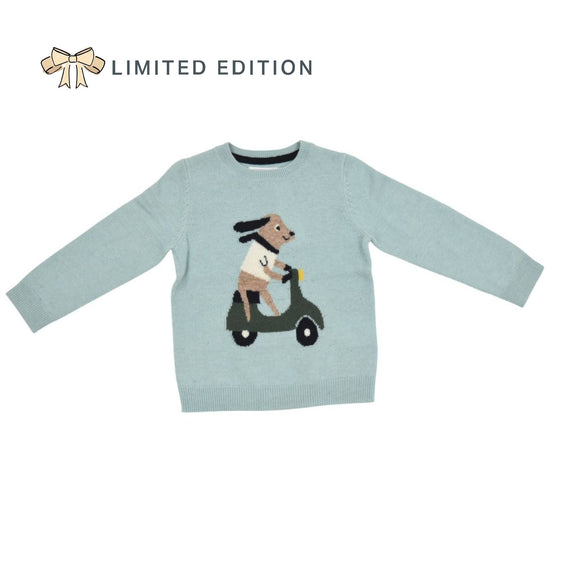 korea france cotton wool french dog scooter korean sweater breathable kc certified gender neutral